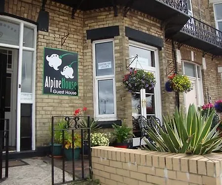 Alpine Middlesbrough