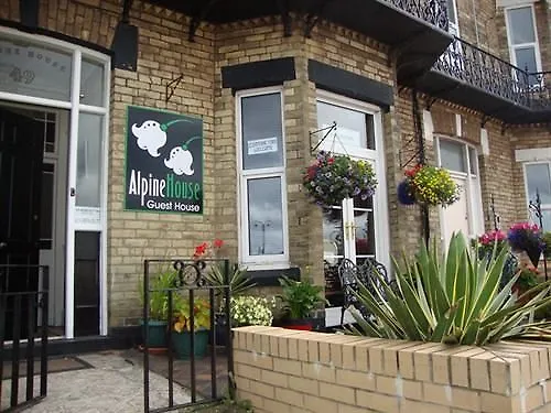 Alpine Middlesbrough